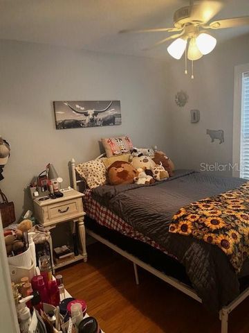 2717 WILDER PARK DRIVE, Plant City, FL 33566