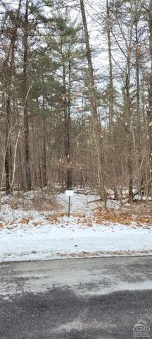 0 Watcher blvd, Durham, NY 12423