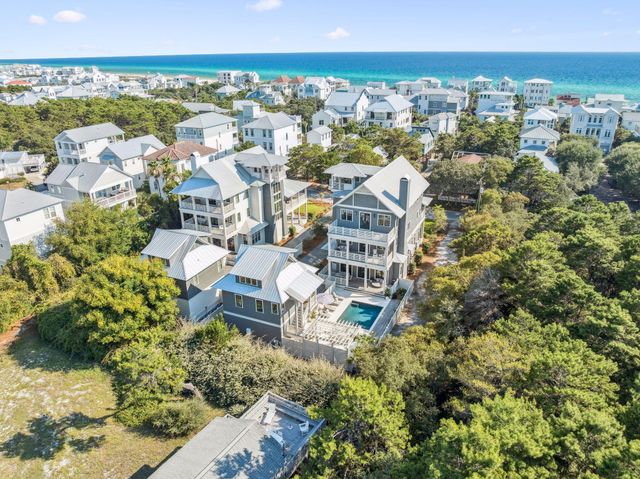 224 Walton Rose Lane, Inlet Beach, FL 32461