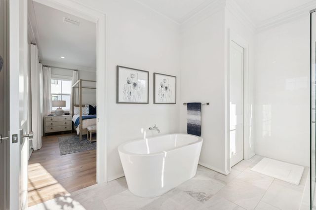 224 Walton Rose Lane, Inlet Beach, FL 32461