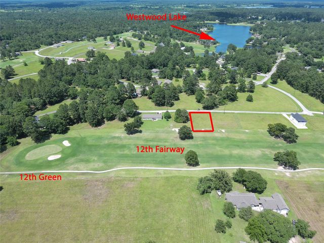 59 Oakridge South, Trinity, TX 75862