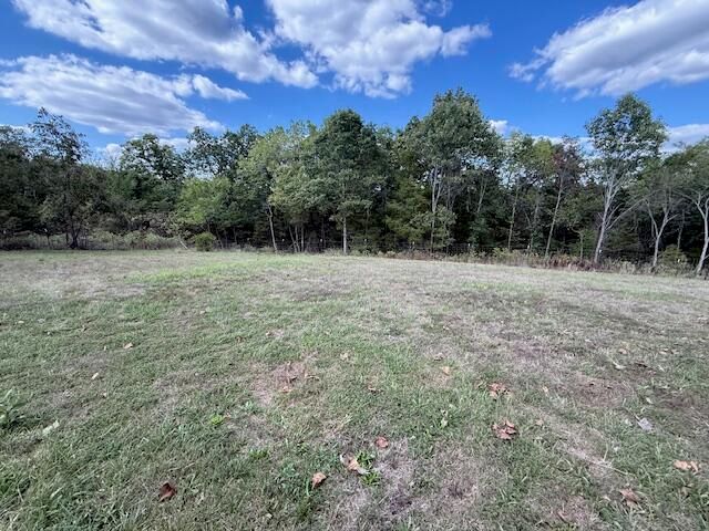 1711 State Highway T, Oldfield, MO 65720