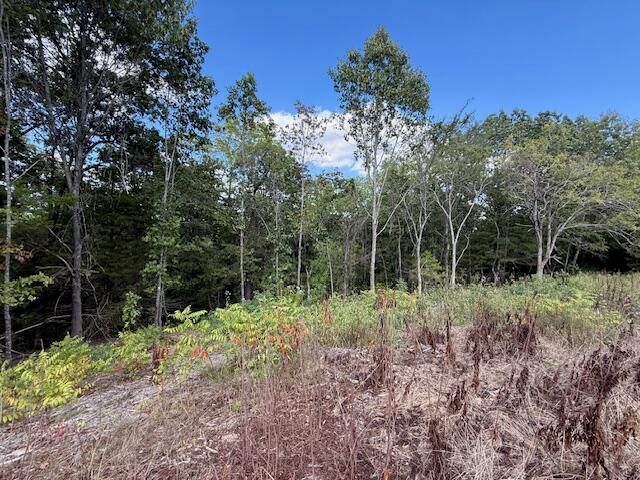 1711 State Highway T, Oldfield, MO 65720