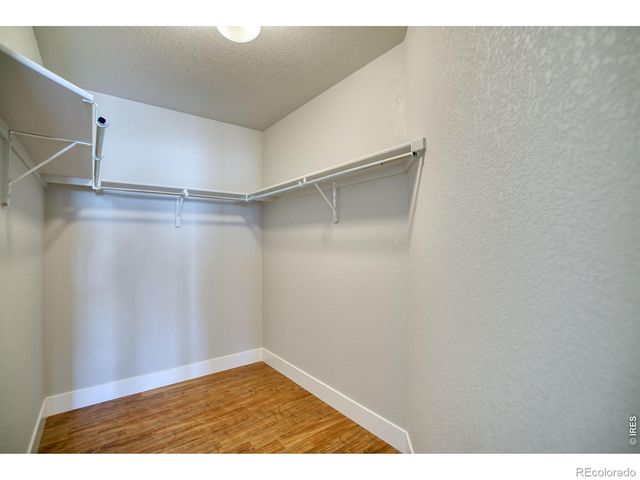 6904 Fireside Drive, Timnath, CO 80547