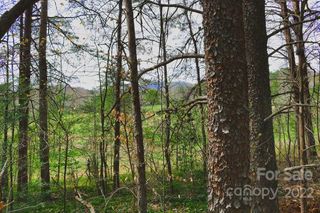 0 Westridge Drive 87, Lake Lure, NC 28746