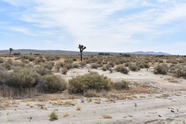 47660 E 120th St E Street, Lancaster, CA 93535