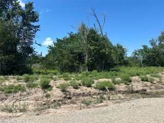 Lot 15 Co Rd 1110, Farmersville, TX 75442