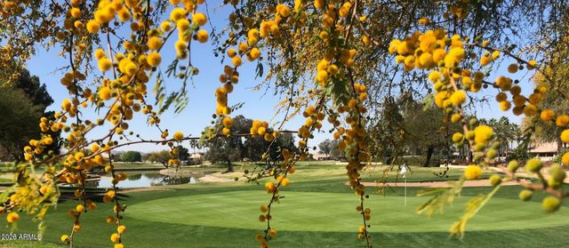 1482 E Waterview Place, Chandler, AZ 85249