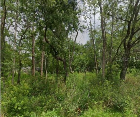 5728 ELAINE DRIVE, Zephyrhills, FL 33541