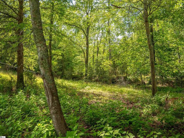 1610 Cannon Bottom Road Lot 4, Belton, SC 29627