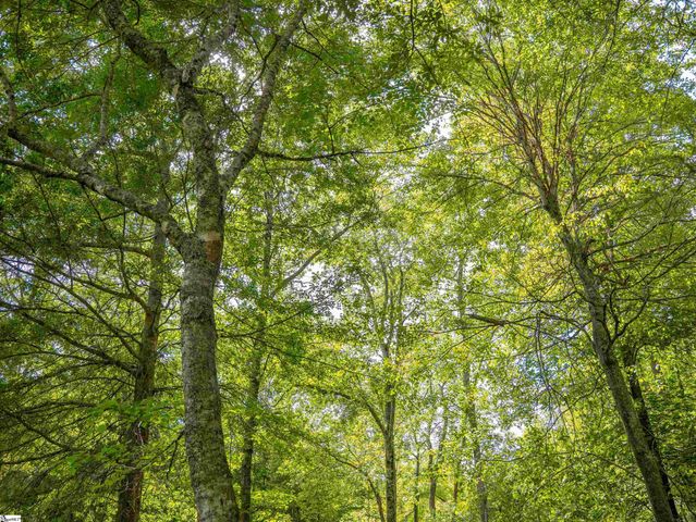 1610 Cannon Bottom Road Lot 4, Belton, SC 29627