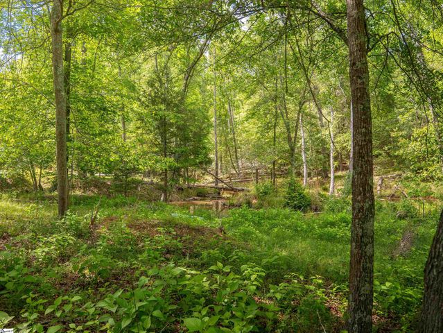 1610 Cannon Bottom Road Lot 4, Belton, SC 29627