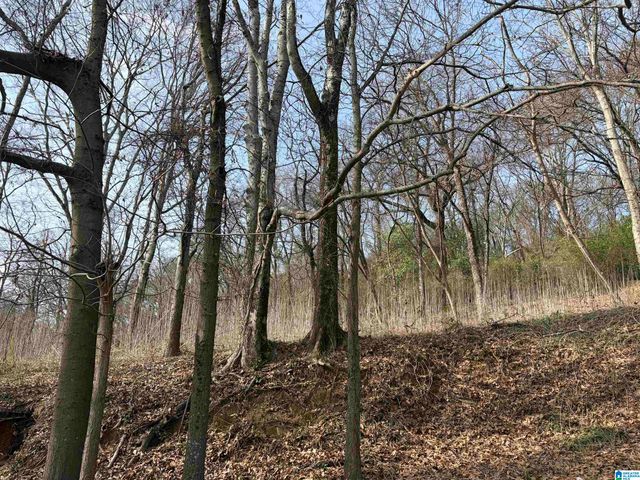 2217 43RD AVENUE N, Birmingham, AL 35207