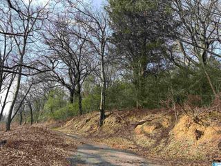 2217 43RD AVENUE N, Birmingham, AL 35207