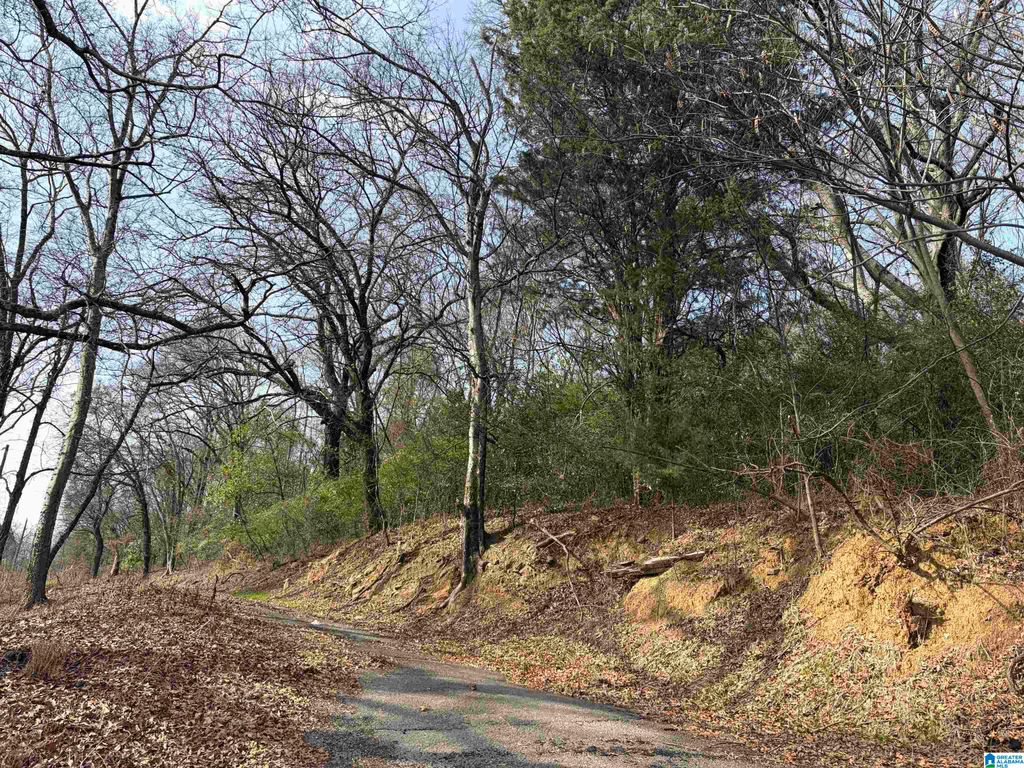 2217 43RD AVENUE N, Birmingham, AL 35207