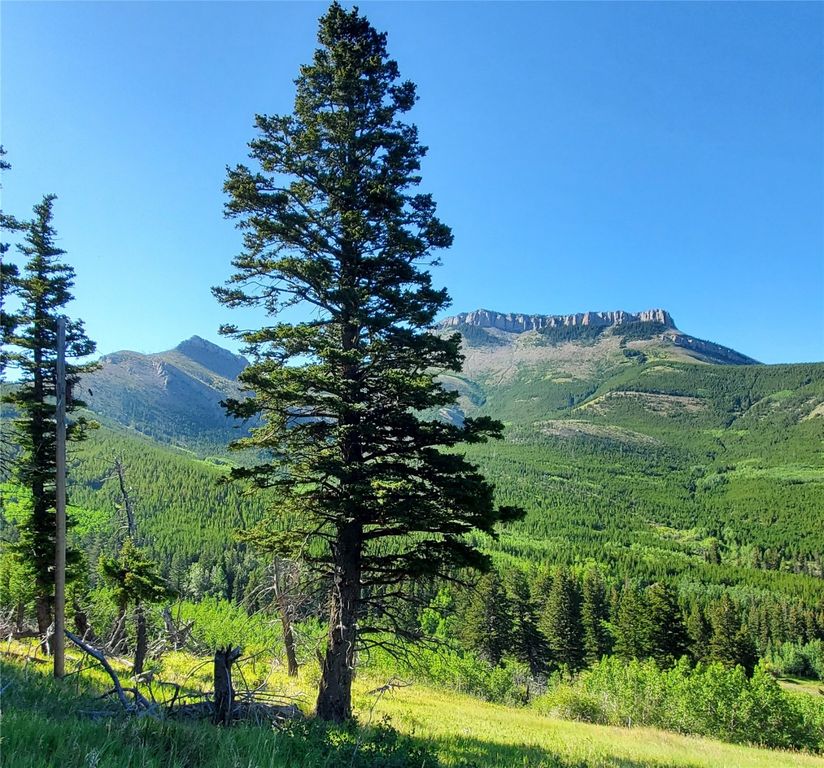 3384 Joslin Creek Road, Augusta, MT 59410