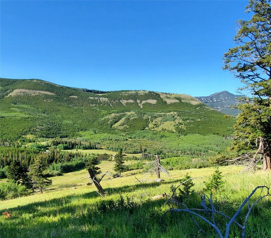 3384 Joslin Creek Road, Augusta, MT 59410 photo 10