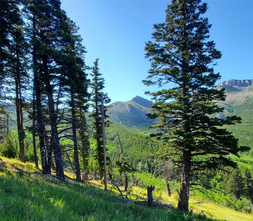 3384 Joslin Creek Road, Augusta, MT 59410 photo 12