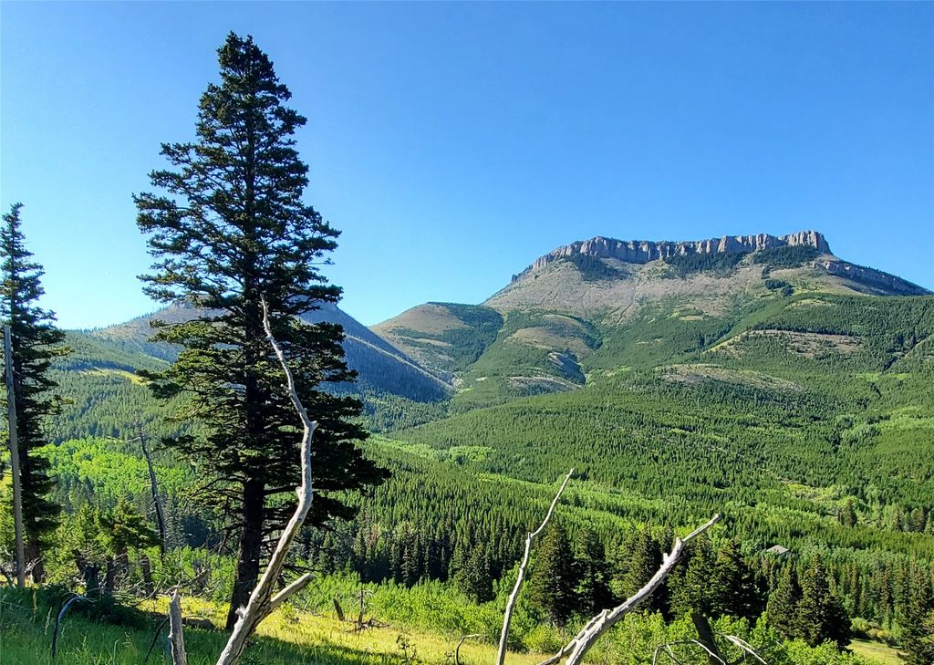 3384 Joslin Creek Road, Augusta, MT 59410 photo 14