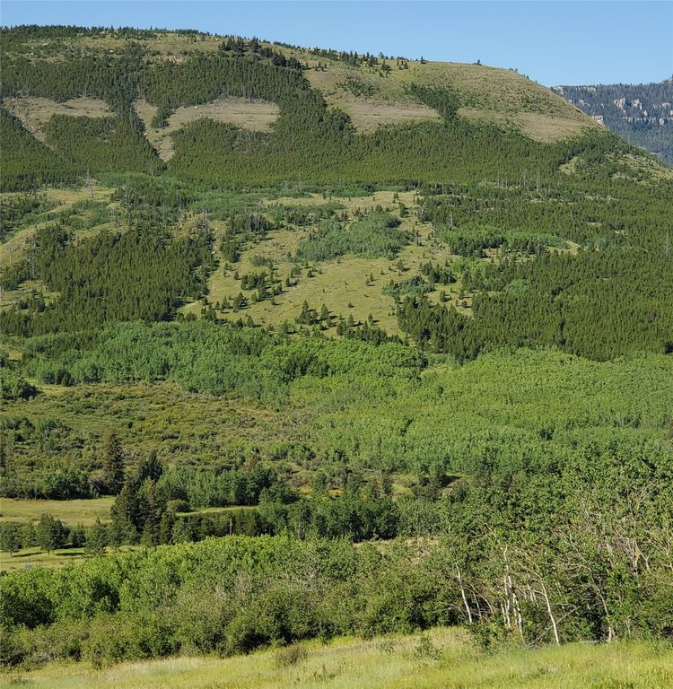 3384 Joslin Creek Road, Augusta, MT 59410 photo 17