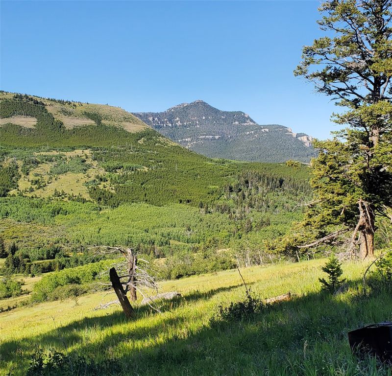 3384 Joslin Creek Road, Augusta, MT 59410 photo 6