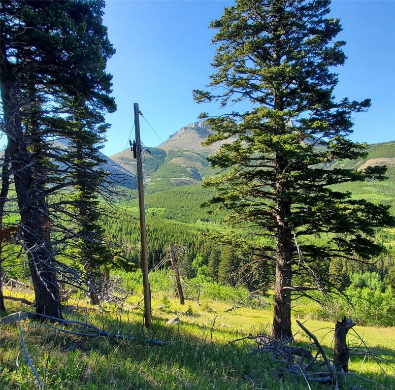 3384 Joslin Creek Road, Augusta, MT 59410 photo 7