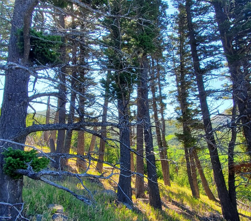 3384 Joslin Creek Road, Augusta, MT 59410 photo 8