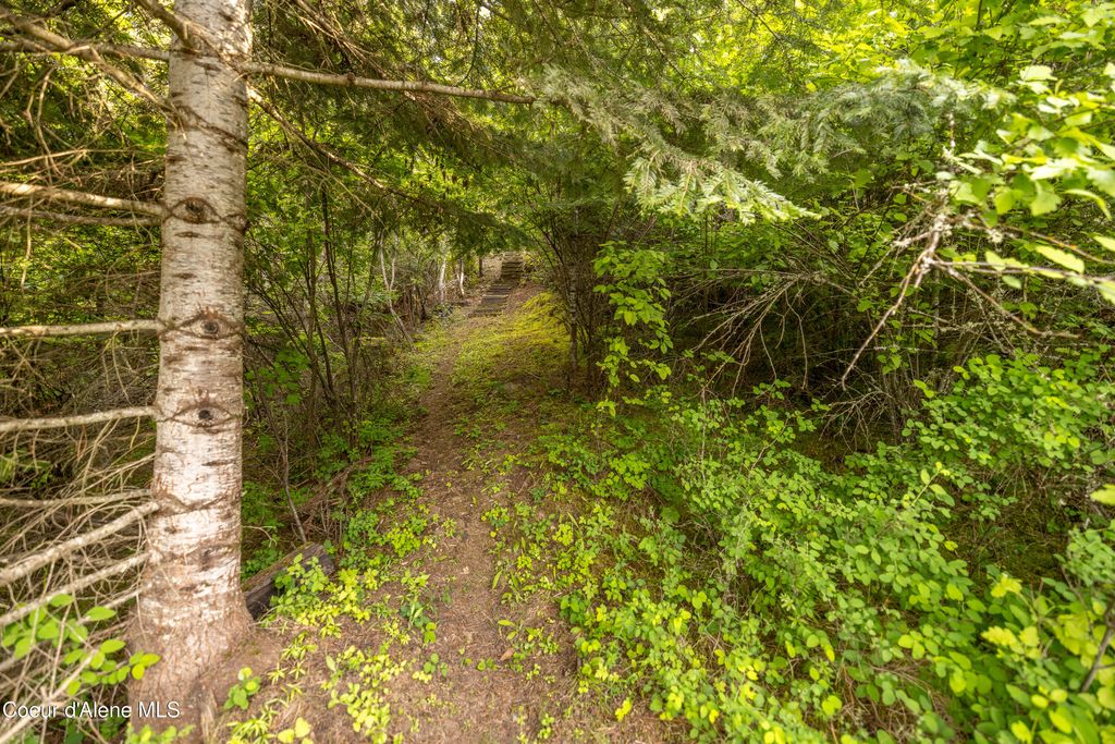 NNA Highway 97, Harrison, ID 83833 photo 11