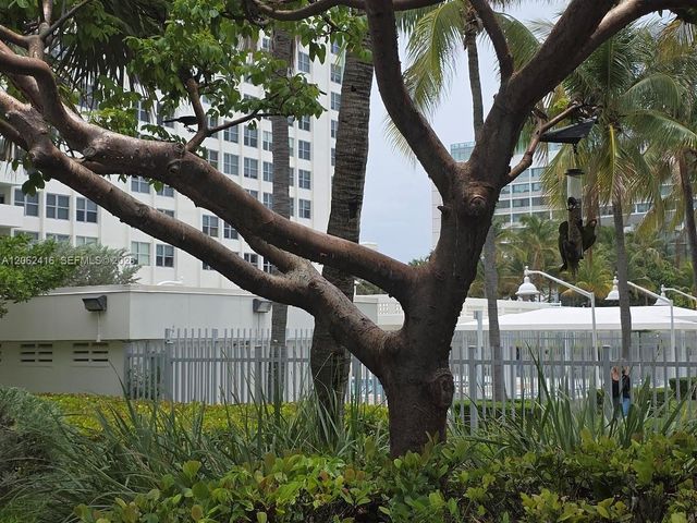 2899 Collins Ave 940, Miami Beach, FL 33140