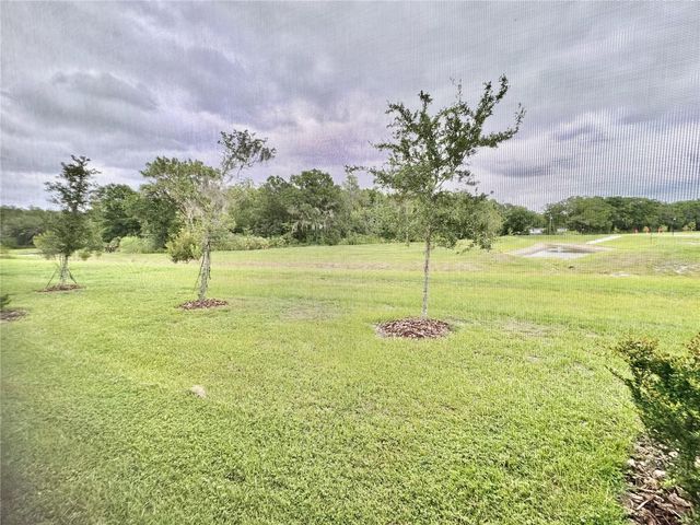 1610 COLT CREEK PLACE, Wesley Chapel, FL 33543