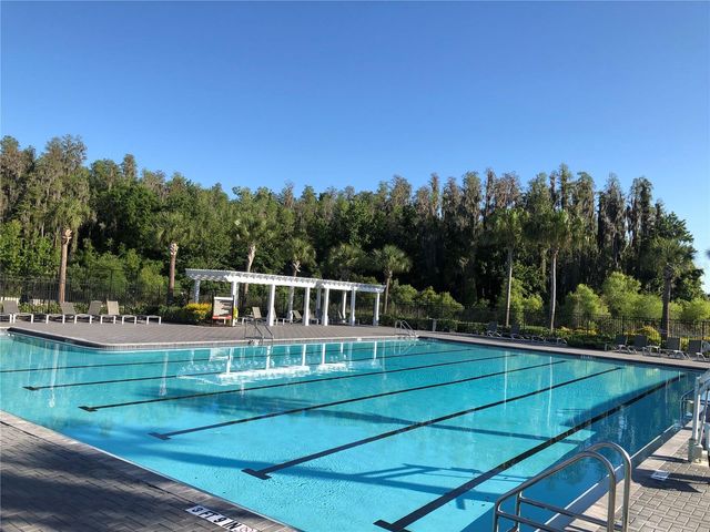 1610 COLT CREEK PLACE, Wesley Chapel, FL 33543