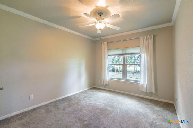 13631 Moss Rose Trail, Belton, TX 76513