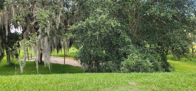 3316 FISH HAWK DR, Polk City, FL 33868