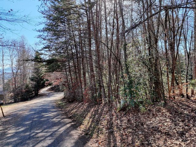 Lot 5 Tombstone Drive, Blairsville, GA 30512
