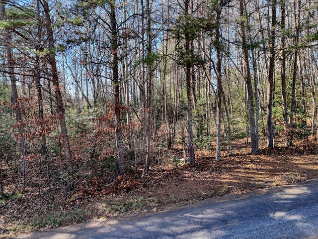 Lot 5 Tombstone Drive, Blairsville, GA 30512