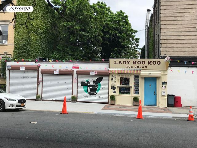 314A CHAUNCEY Street, New York City, NY 11233
