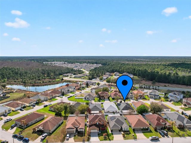 233 BACOPA PASS, Davenport, FL 33897