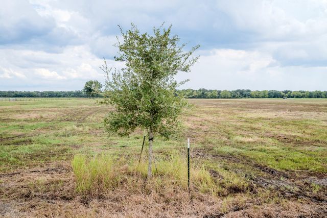 Tract 1 Charlie Meyer Road, Damon, TX 77430