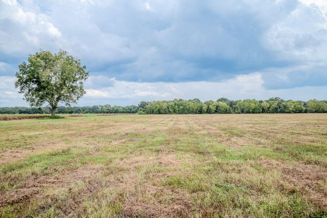 Tract 1 Charlie Meyer Road, Damon, TX 77430