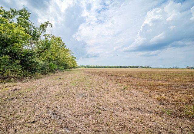 Tract 1 Charlie Meyer Road, Damon, TX 77430