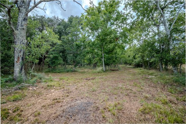 Tract 1 Charlie Meyer Road, Damon, TX 77430