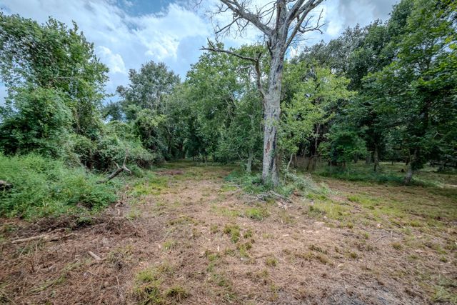 Tract 1 Charlie Meyer Road, Damon, TX 77430