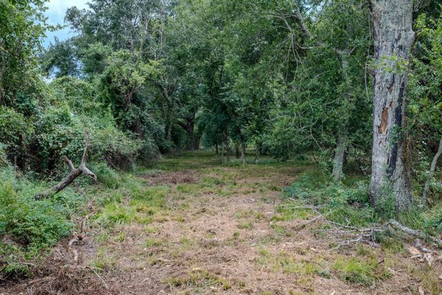 Tract 1 Charlie Meyer Road, Damon, TX 77430