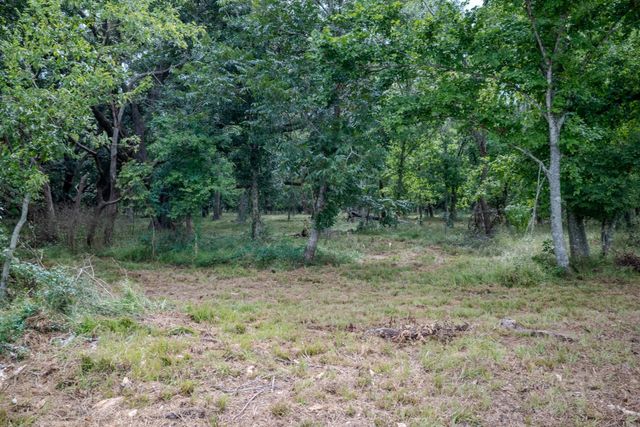 Tract 1 Charlie Meyer Road, Damon, TX 77430