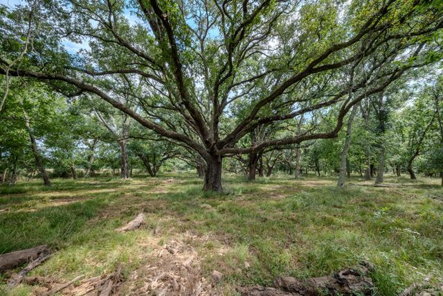 Tract 1 Charlie Meyer Road, Damon, TX 77430