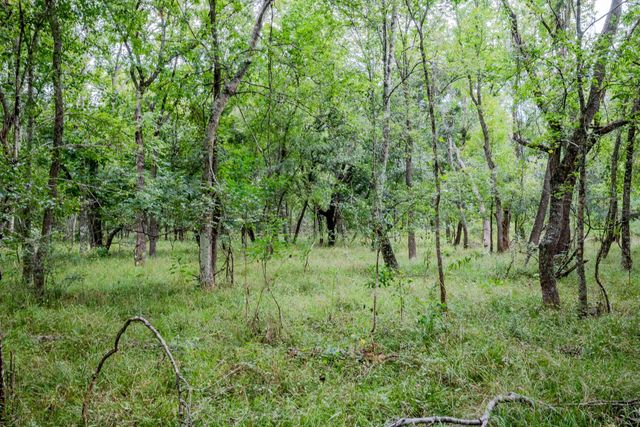 Tract 1 Charlie Meyer Road, Damon, TX 77430