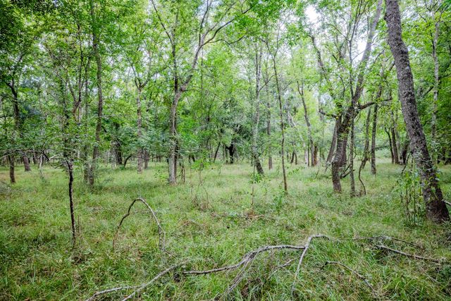 Tract 1 Charlie Meyer Road, Damon, TX 77430