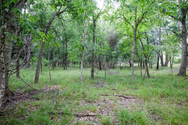 Tract 1 Charlie Meyer Road, Damon, TX 77430