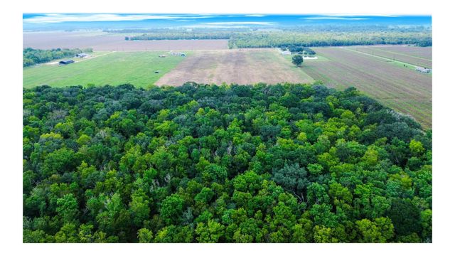 Tract 1 Charlie Meyer Road, Damon, TX 77430