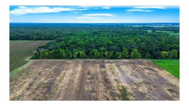 Tract 1 Charlie Meyer Road, Damon, TX 77430